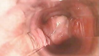 Latina Succulent wraps biwir nya jeung pussy sabudeureun cock Keiran urang